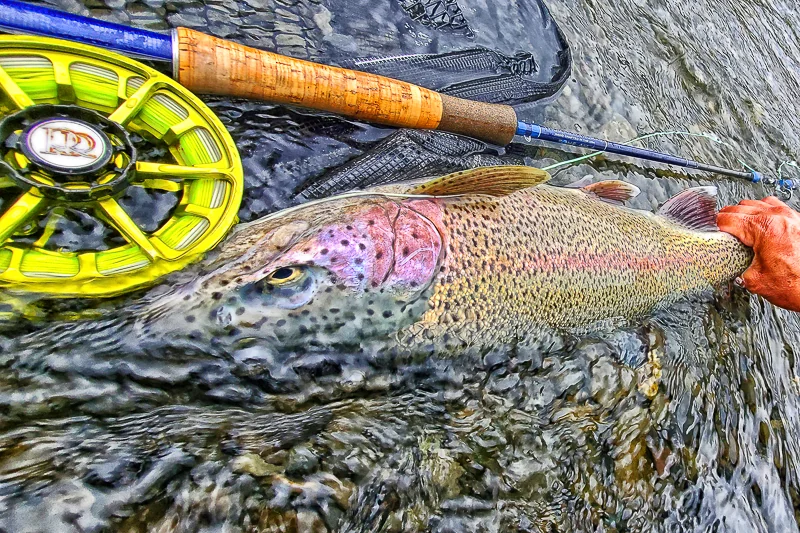 Fly fishing the Upper Kenai River, Cooper Landing, Alaska