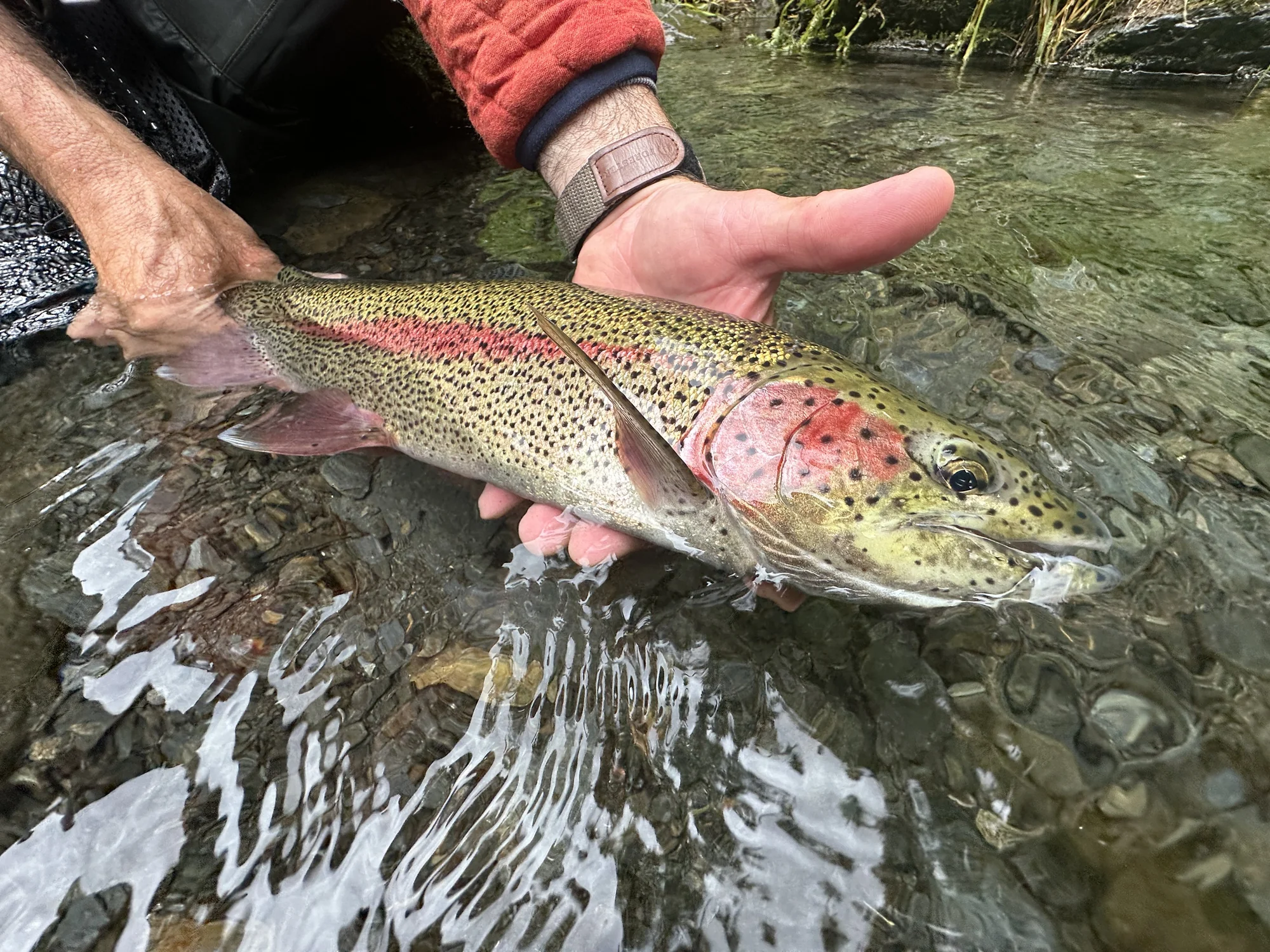 Fly fishing the Upper Kenai River, Cooper Landing, Alaska